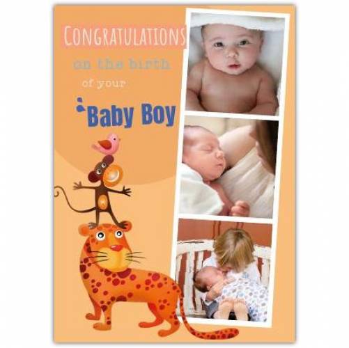 Congratulations Baby Boy Tiger And Three Photos Card