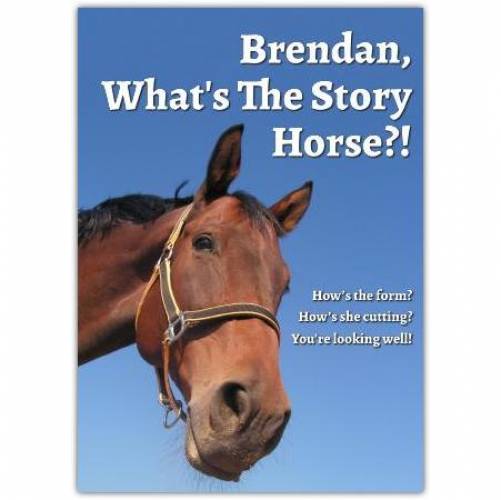 What's The Story Horse? Greeting Card