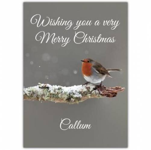 Merry Christmas Robin On A Branch Card