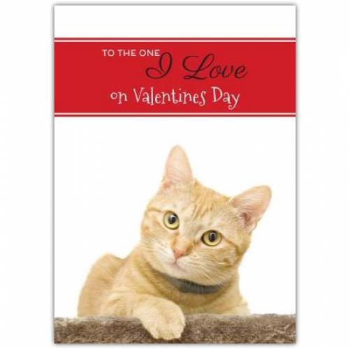 To The One I Love On Valentines Day Cat  Card