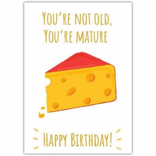 Happy Birthday Mature Cheese Greeting Card