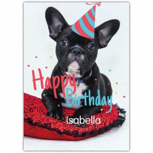 Happy Birthday French Bulldog With Party Hat Card