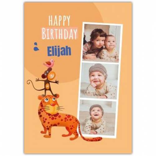 Happy Birthday 3 Photos Tiger Monkey And Bird Card