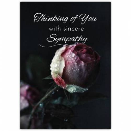 Sympathy Pink Rose  Card