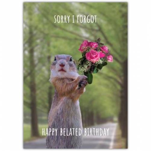 Belated Birthday Sorry Squirrel Greeting Card