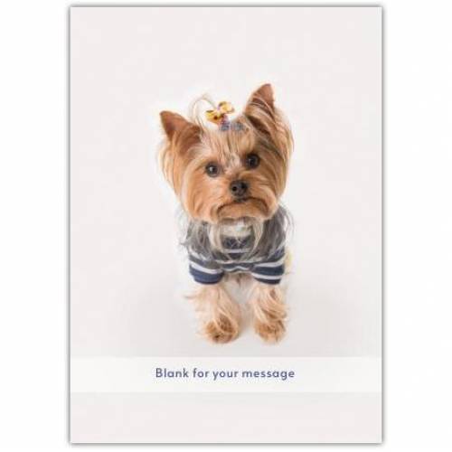 Any Message Cute Woof Greeting Card