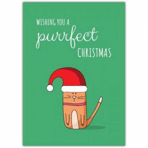 Purrrrfect Christmas Greeting Card