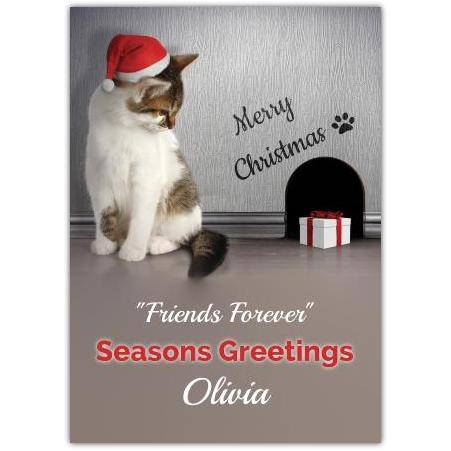 Cat present greeting card personalised a5pds2016003120