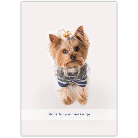 Any Message Cute Woof Greeting Card