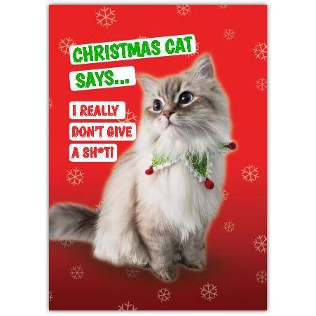 Christmas Cat Rude Funny Greeting Card