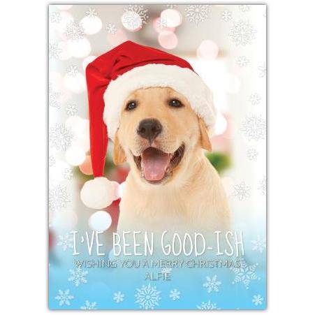 Merry Christmas Santa Dog Greeting Card