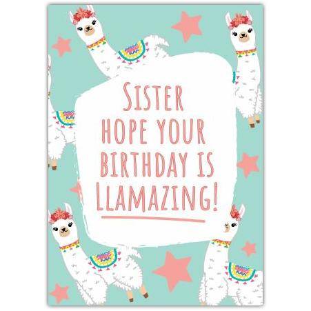 Sister Llamazing Birthday Card