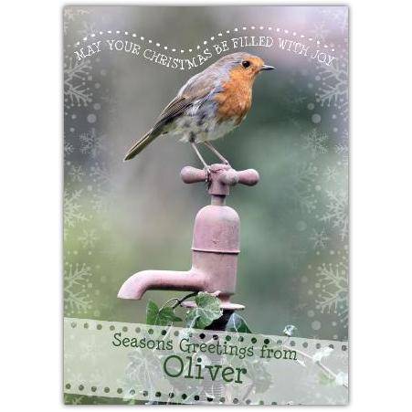 Robin bird greeting card personalised a5pzw2016003275