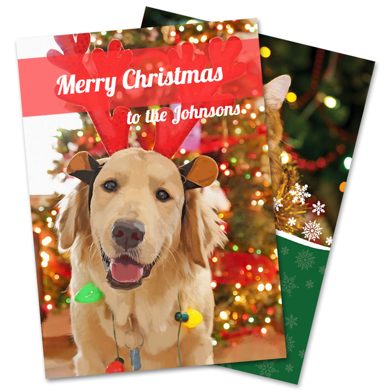 Pets Christmas Greeting Cards