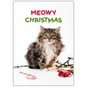 Meowy Christmas Tabby Greeting Card