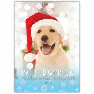 Merry Christmas Santa Dog Greeting Card