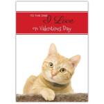 To The One I Love On Valentines Day Cat  Card