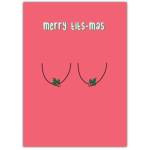 Christmas Merry Titmas Rude Funny Greeting Card