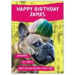 Old Rocker Punk Dog Happy Birthday Card