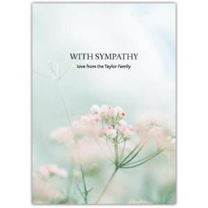 Sympathy Babies Breath Greeting Card