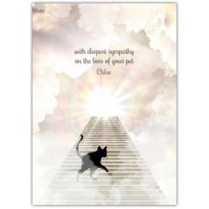 Cat Bereavement Rainbow Bridge Greeting Card