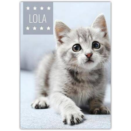 Pet Photo Card