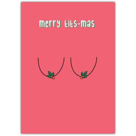 Christmas Merry Titmas Rude Funny Greeting Card