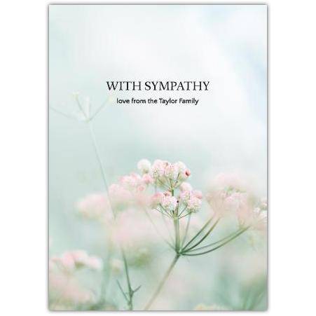 Sympathy Babies Breath Greeting Card