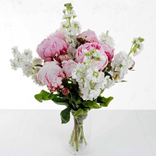 The Elegance Fresh Peonies Flowers Bouquet