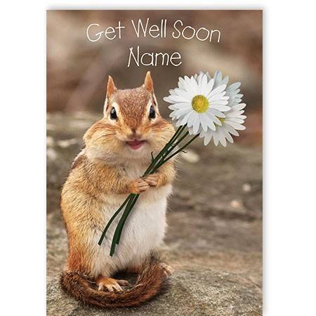 Get well soon squirrel greeting card personalised a5qccwmcgws02ed