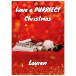 Personalised Purrfect Christmas Kitten Greeting Card with Santa Hat Design