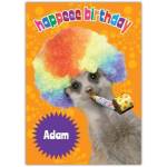 Personalised Meerkat Happeee Birthday Card with Rainbow Wig and Party Blower
