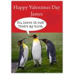 Personalised Humorous Valentines Day Card with Penguins and Custom Name Option