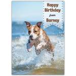 Personalised Happy Birthday Card from Your Dog with Dog Jumping in Sea Design