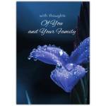 Sympathy Card with Blue Flower and Dew Drops with Thoughts of You and Your Family