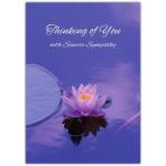 Sympathy Card Purple Water Lily Thinking of You with Sincere Sympathy