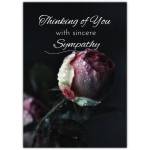 Thinking of You Sympathy Card with Pink Rose on Dark Background