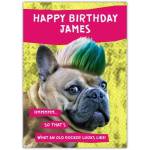 Personalised Old Rocker Punk Dog Birthday Card for Him
