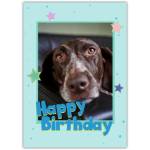 Personalised Dog Photo Happy Birthday Card with Colourful Stars Design
