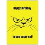 Happy Birthday Angry Cat Humorous Birthday Card for Cat Lovers