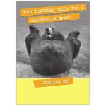 Funny Birthday Card with Bear Illustration Your Birthday Calls for a Celebration Drink Bottoms Up