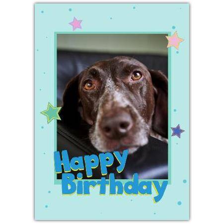 Personalised Dog Photo Happy Birthday Card with Colourful Stars Design