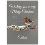Personalised Merry Christmas Robin On Snowy Branch Christmas Card