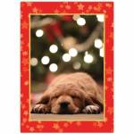 Sleeping Puppy Red Star Frame Christmas Greeting Card