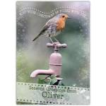 Personalised Robin Christmas Card May Your Christmas Be Filled With Joy Seasons Greetings