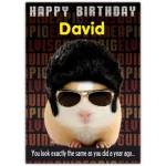 Personalised Funny Sozzled Guinea Pig Birthday Card with Elvis Style Sunglasses and Wig