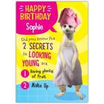 Personalised Funny Meerkat Birthday Card Secrets Of Looking Young With Name