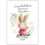 Congratulations on New Grandson Baby Card with Brown Bunny Illustration