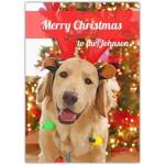 Personalised Merry Christmas Dog Wearing Reindeer Antlers Card