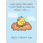 Funny Mothers Day Card Leave The Nest Bird Cosy Cartoon Design